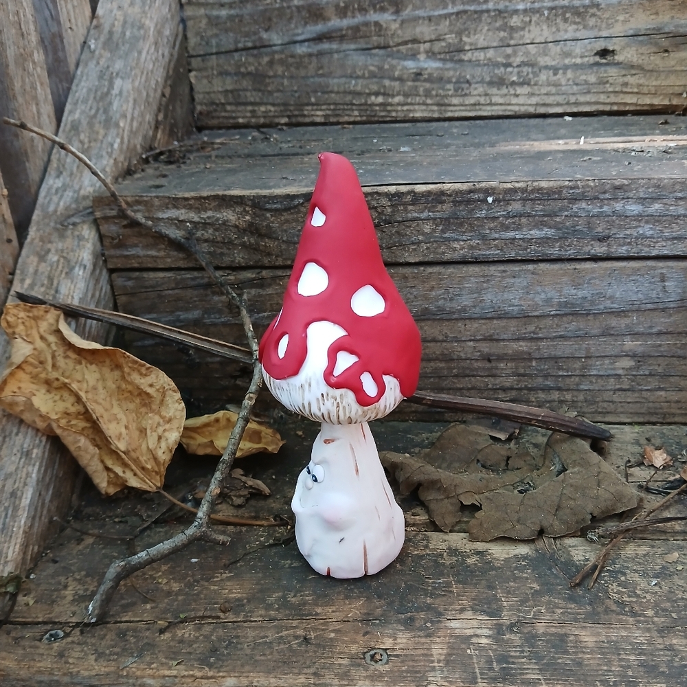 ❤️🤍 Cone Mushroom 🍄🐞 Face Funny 🦋🌺 - Picture 2 of 7